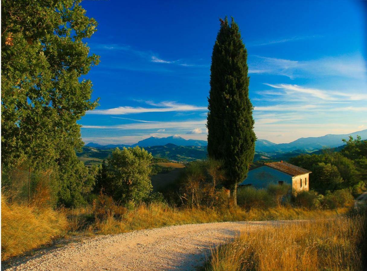 Ca'Lavalle B&B Urbino Exteriér fotografie